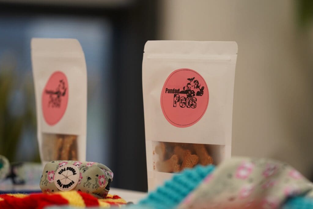 Swansea University Big Pitch Competition supports creative student start-ups