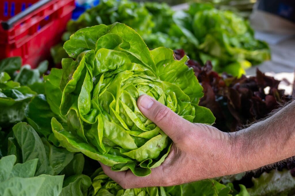 New Cardiff ‘Planet Card’ scheme aims to make local & organic produce accessible to all