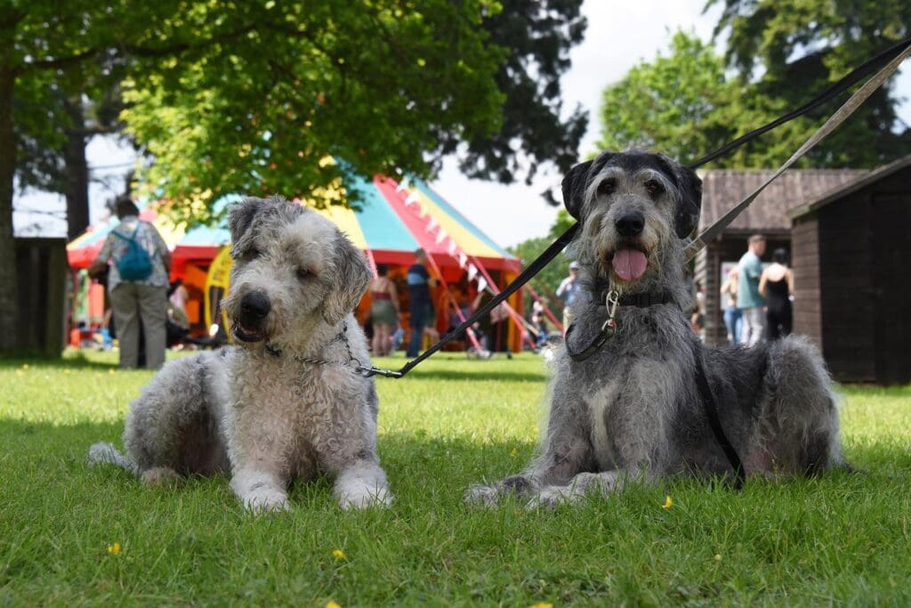 Excitement builds for the Royal Welsh Show with new horticultural village