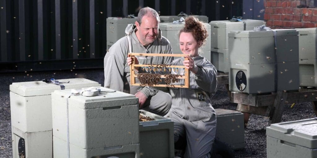 Welsh honey producers take next generation of bee farmers under their wings