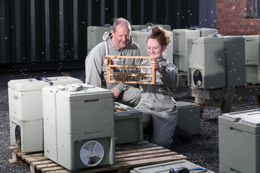 Welsh honey producers take next generation of bee farmers under their wings