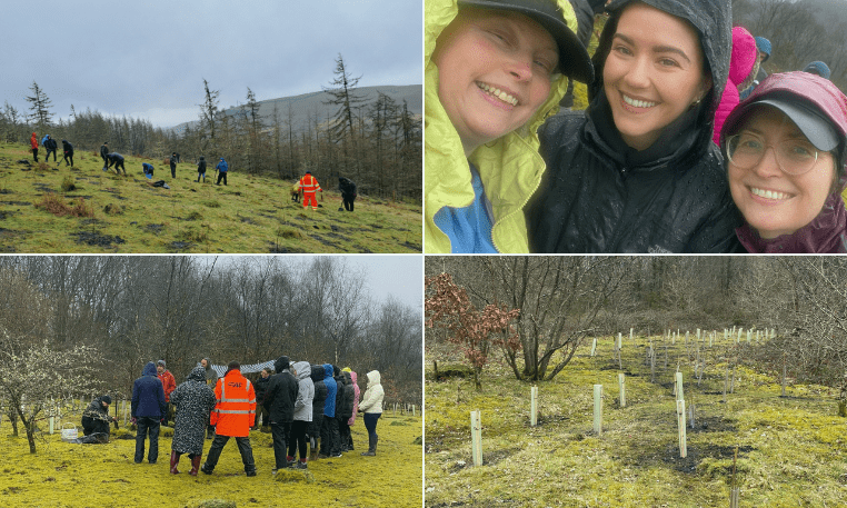 120 volunteers plant trees at Wyllie Woodlands and Park Cwm Darran