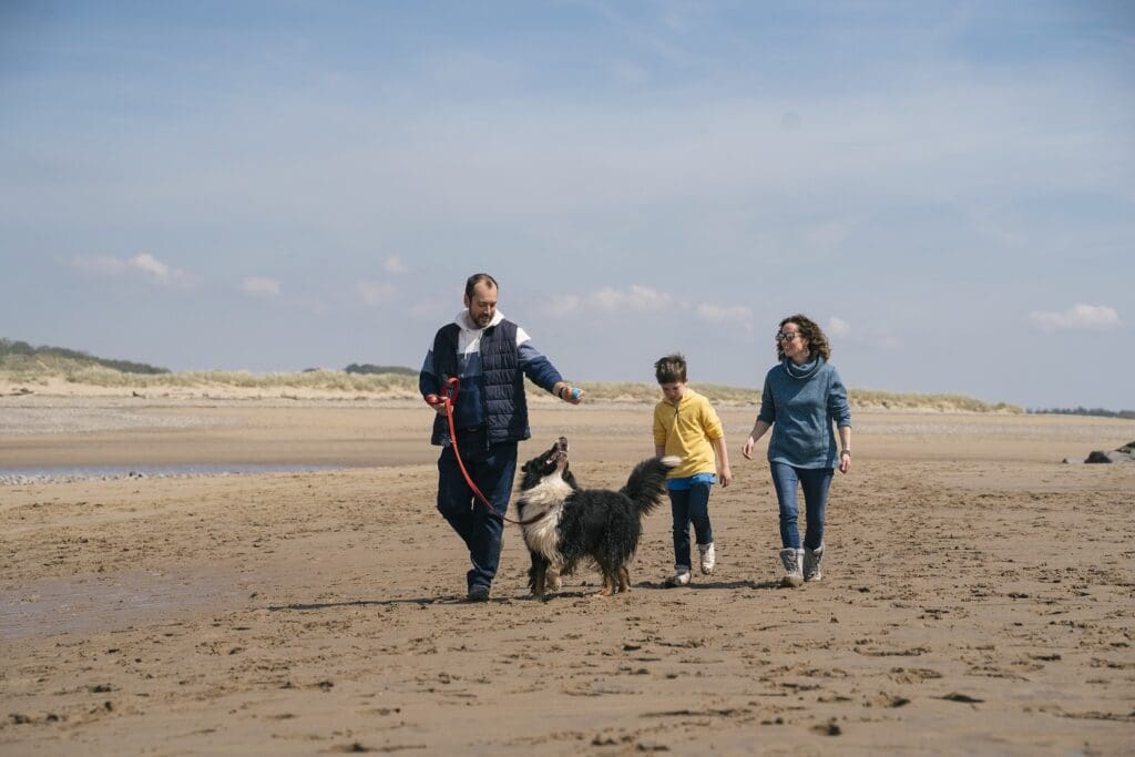 Wales launches tourism campaign aimed at dogs