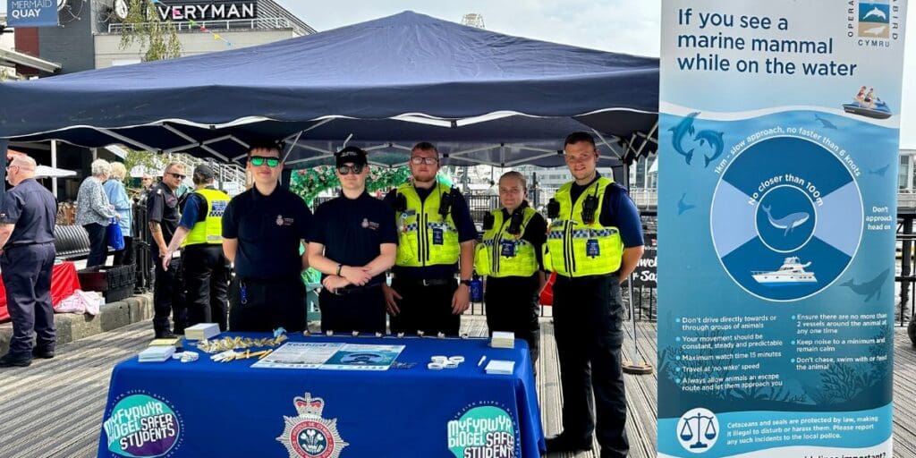 Mermaid Quay hosts Water and Wildlife Week this May Half Term