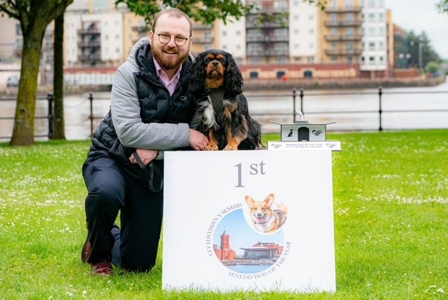 Political Canine Candidate Coco is crowned Senedd Dog of the Year