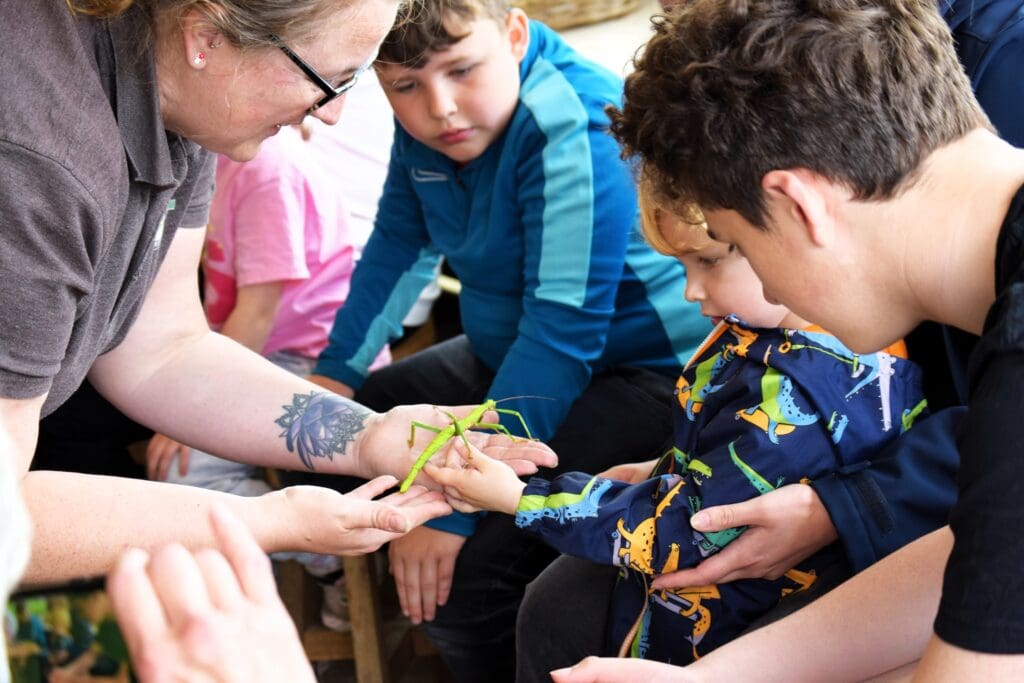 Organic farm estate planning for fun-filled summer of Rhug