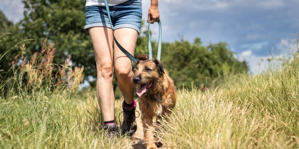 Balancing Wellness and Everyday Life: Tips for Staying on Track