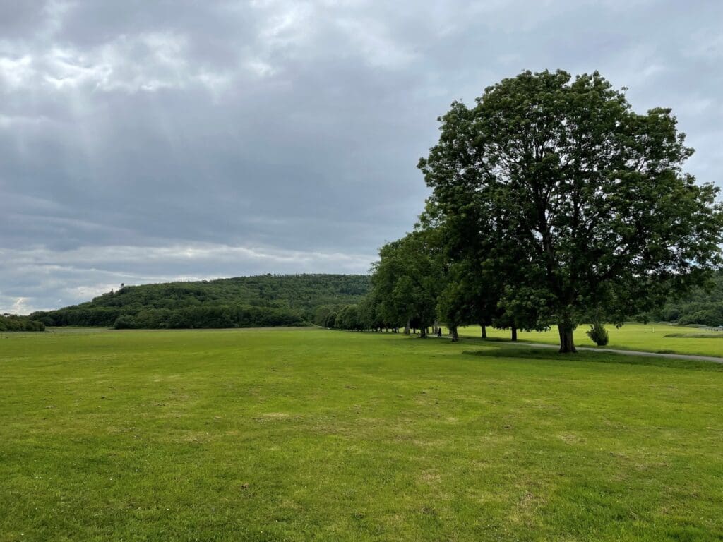 Consultation launched on plans to protect 11 parks in Cardiff