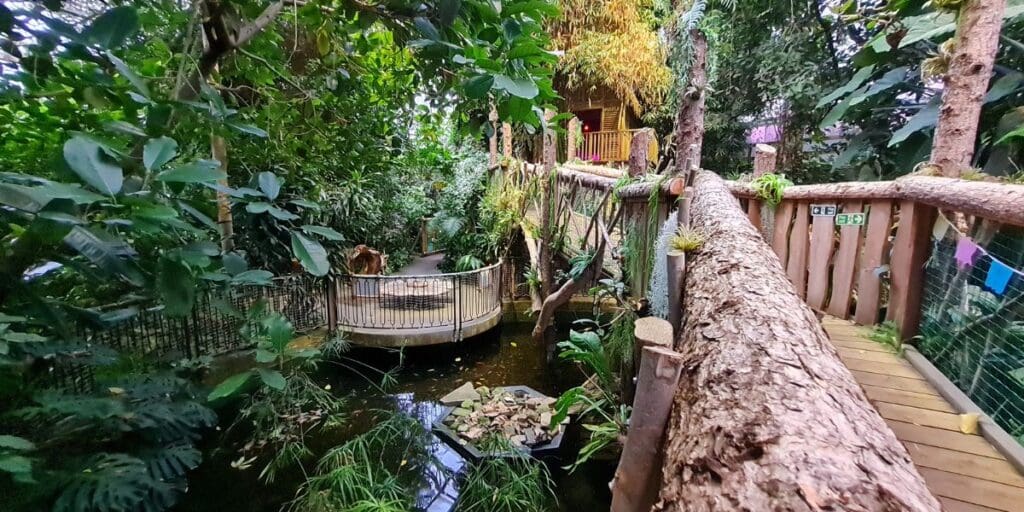 Plantasia Tropical Zoo in Swansea welcomes Giants of the Past