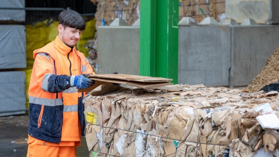 Welsh youth see improved futures with Jobs Growth Wales+ programme