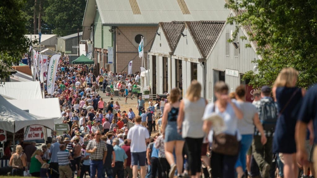 Royal Welsh Spring Festival axed as society looks to the future