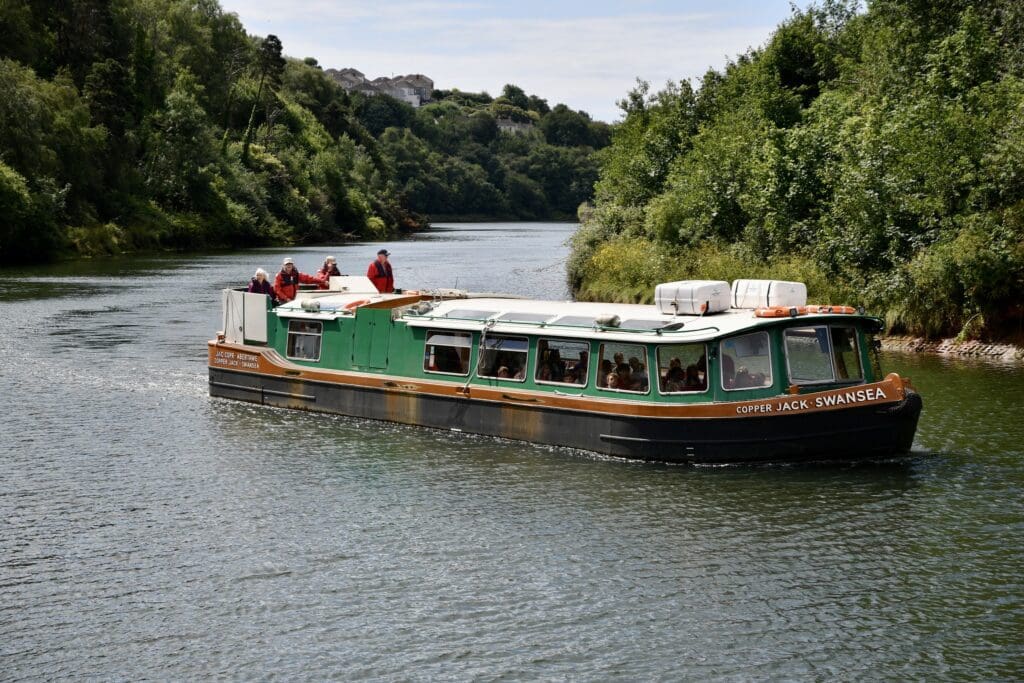 Free river cruises this summer as pontoon use gathers pace