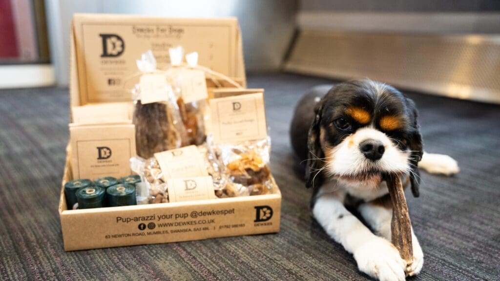 Transport for Wales launches UK’s first dog treat menu on rail services