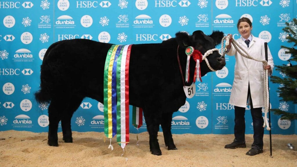 Royal Welsh Winter Fair livestock competitions schedule now available