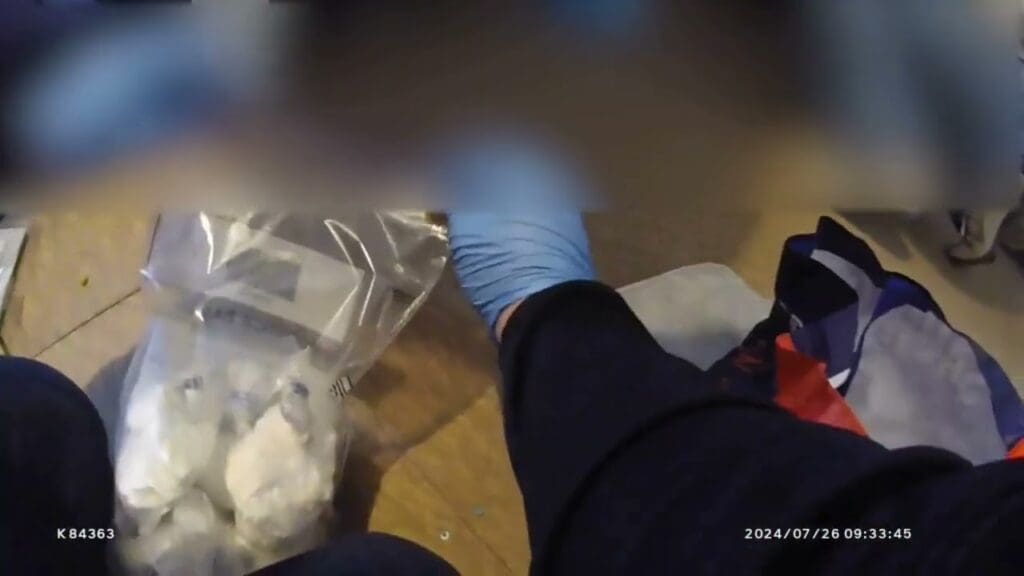 Swansea man jailed for multiple offences