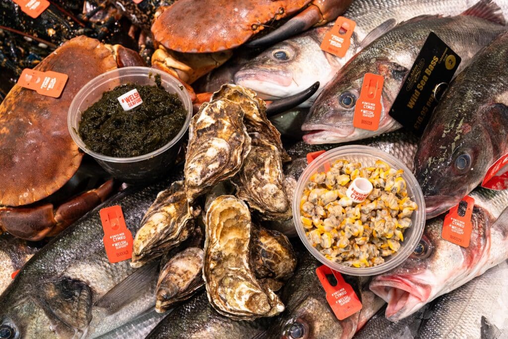 Welsh Seafood Week celebrates harvest of the sea