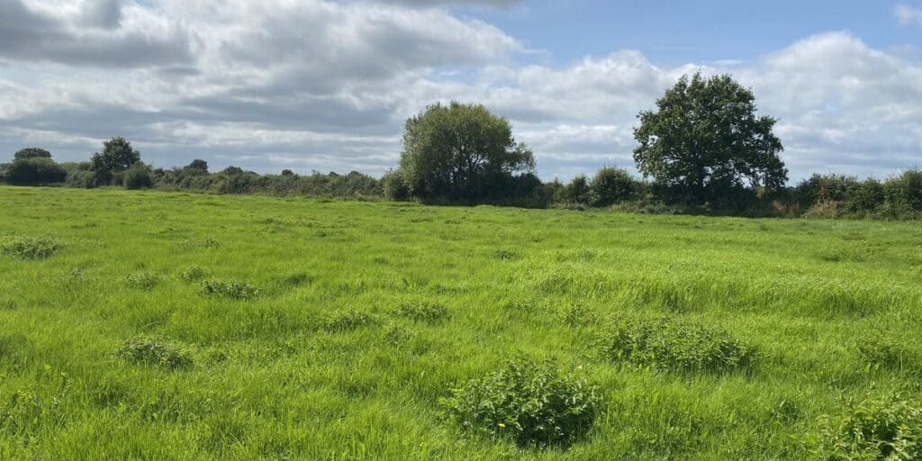 Development potential of Whitchurch land parcel secures £76,000 sale