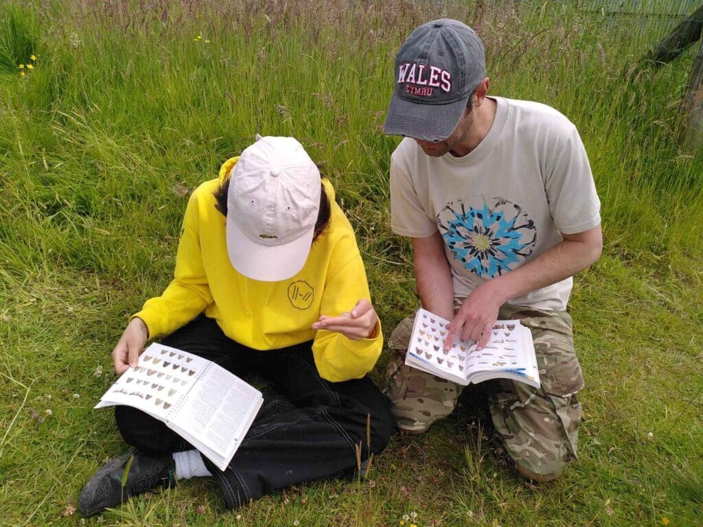 Mid-Point milestone for Pentwyn Farm Rewilding Project