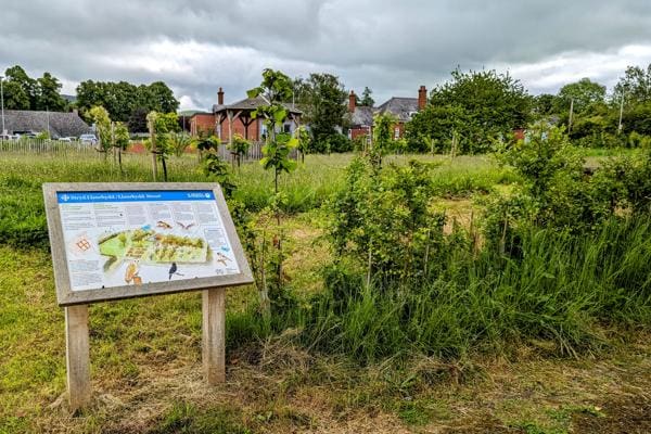 Ruthin nature space receives Wales award honour