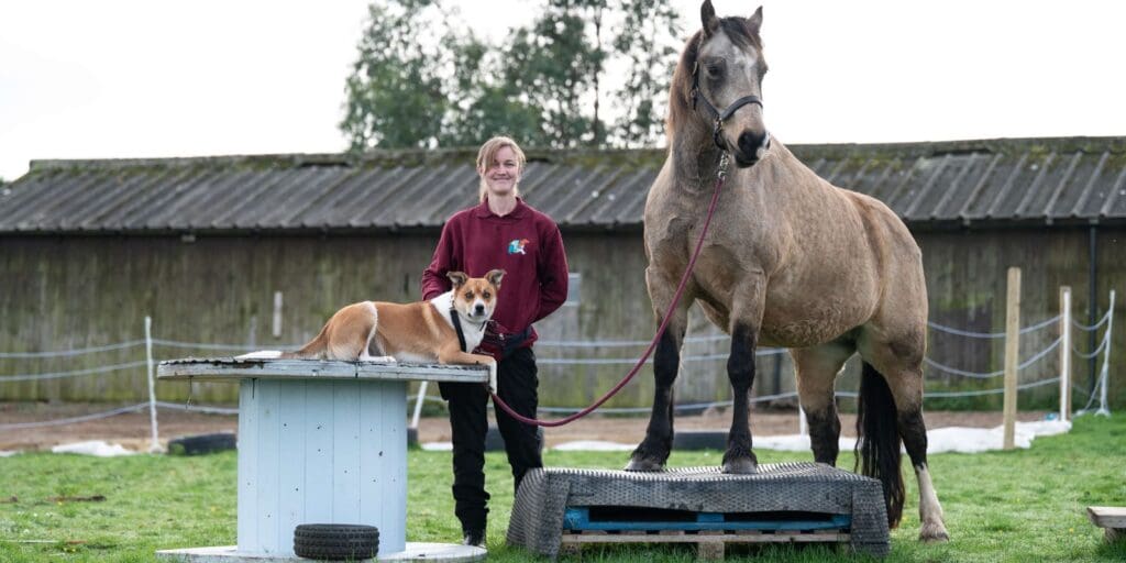 Start Up Loans creates stable revenue for North Wales animal behaviour business