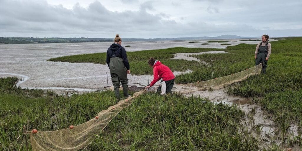Swansea University wins UKRI award to train environmental science leaders