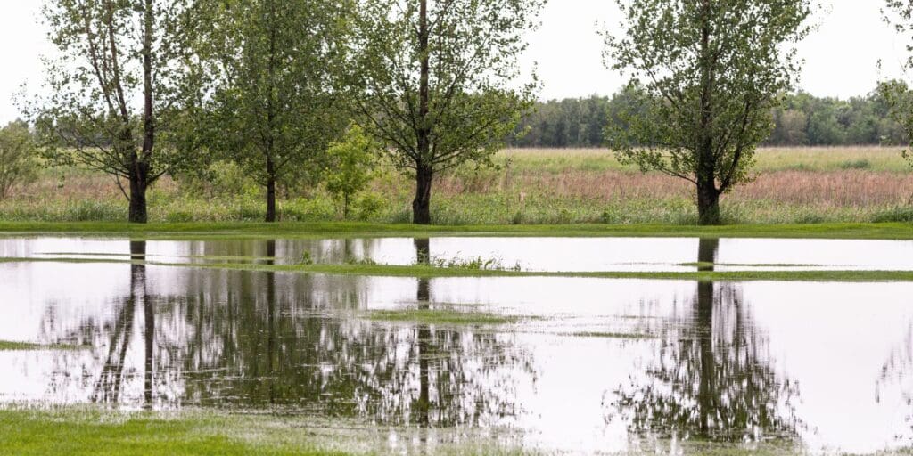 New Sport Wales Storm Damage Fund Now Open for Applications