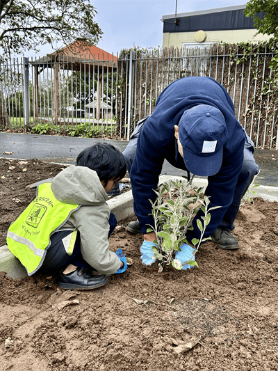 New wildlife garden created at Sully Primary School