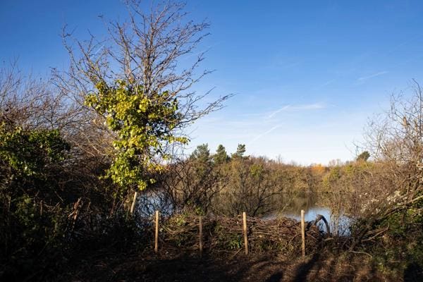 New views take shape of a Rhyl nature haven