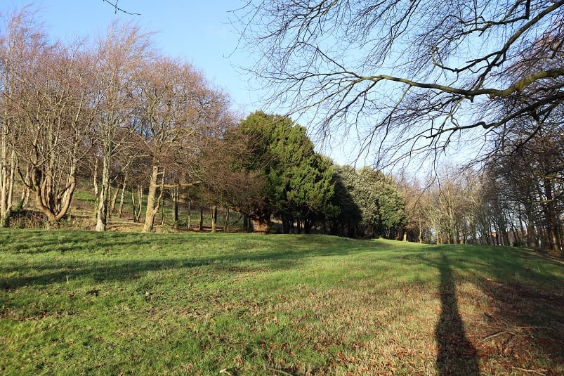 Works to begin in Parc y Coleg