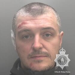 Man who bit off part of police officer’s ear jailed