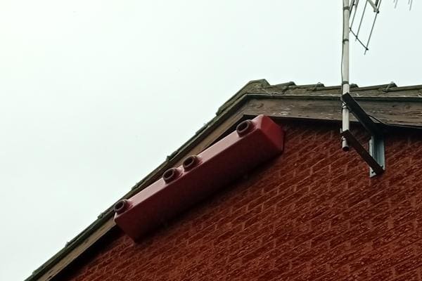 Project provides over 100 new nests for under threat bird