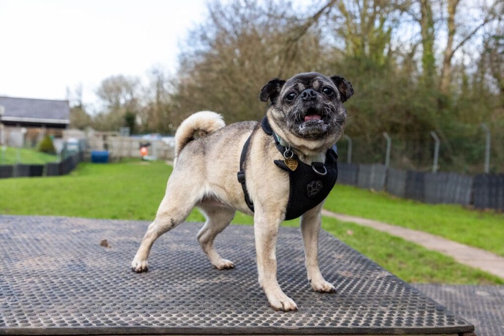 Let’s find love for Lilly this Valentine’s Day