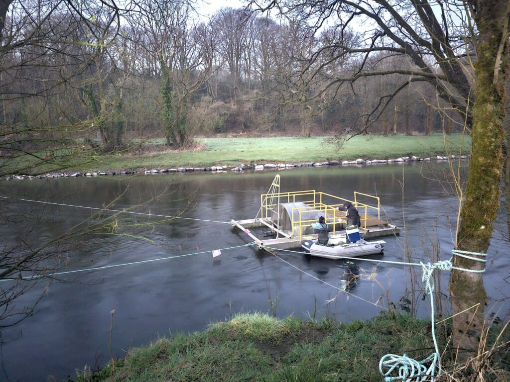 University fish tagging project celebrates securing £600,000
