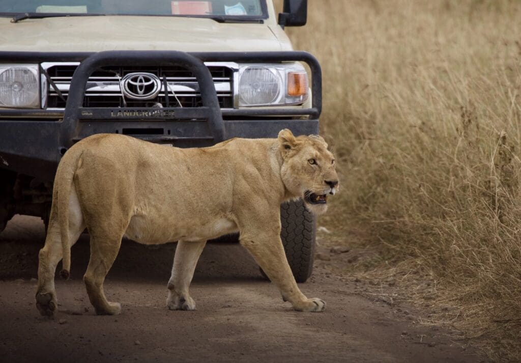 Planning Your Tanzania Trip: Everything You Need to Know