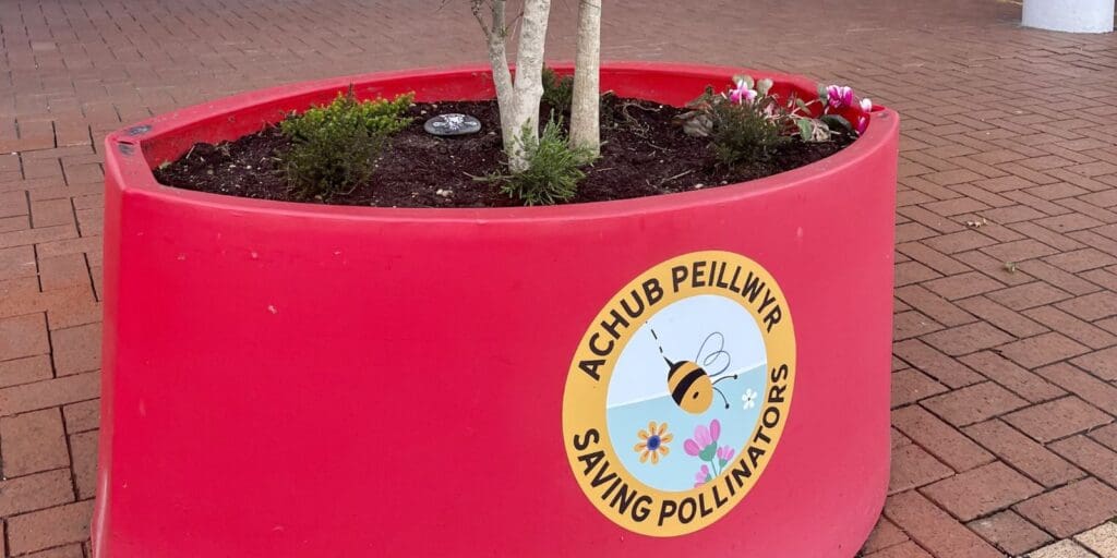 Buzz in the Bay: Red Dragon Centre Goes Wild for Earth Day