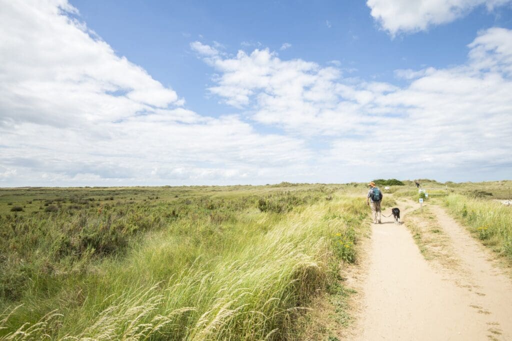 Dog Owners Urged to Keep Pets on Leads to Protect Ground-Nesting Birds