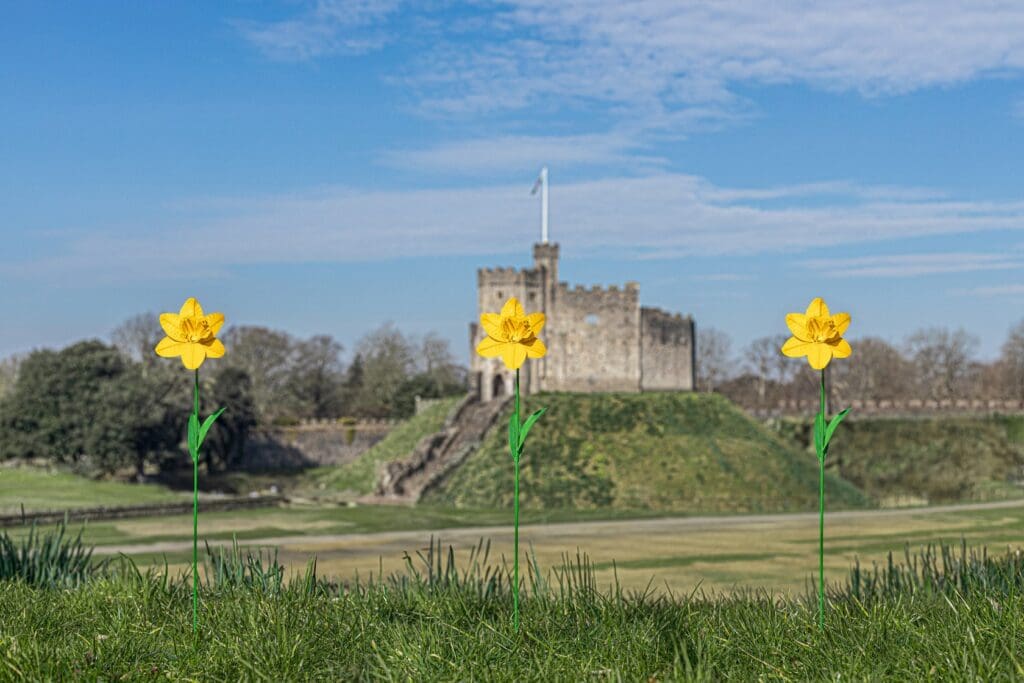 Forever Flowers Returns to Cardiff Castle for Fifth Year with Daffodil Tribute