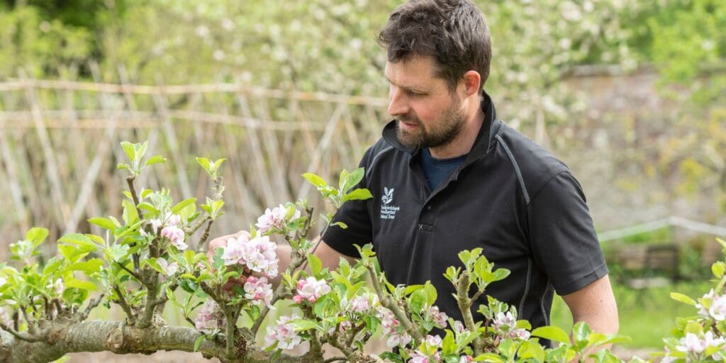 National Register could prove fruitful for the future of Welsh apples