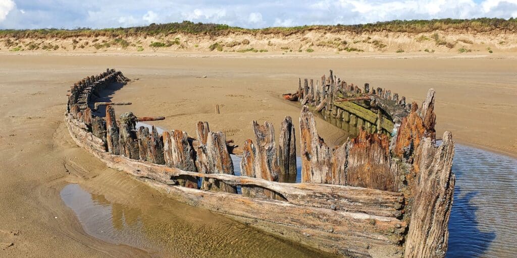 Ten new sites join National Forest for Wales