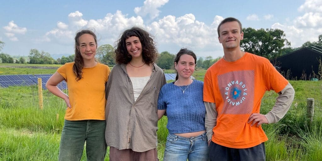 Work starts on 36-acre vegetable growing pilot in Powys