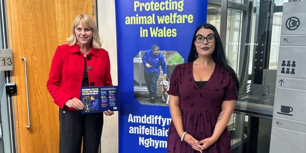 More people care about animals in Wales than any other UK nation