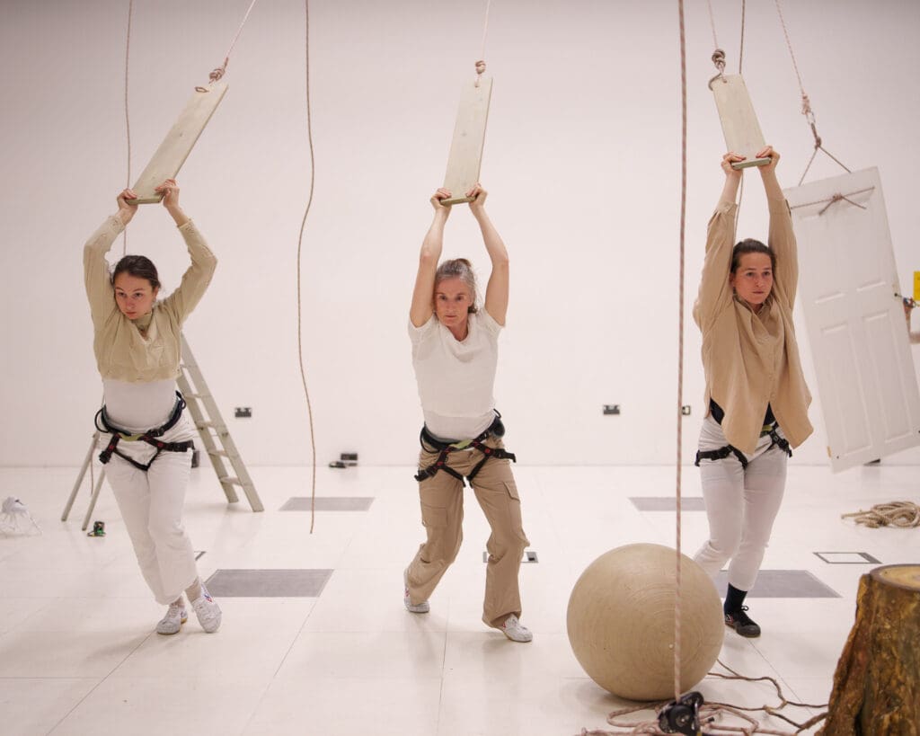 Adventurous audience members can fly high with vertical dance company