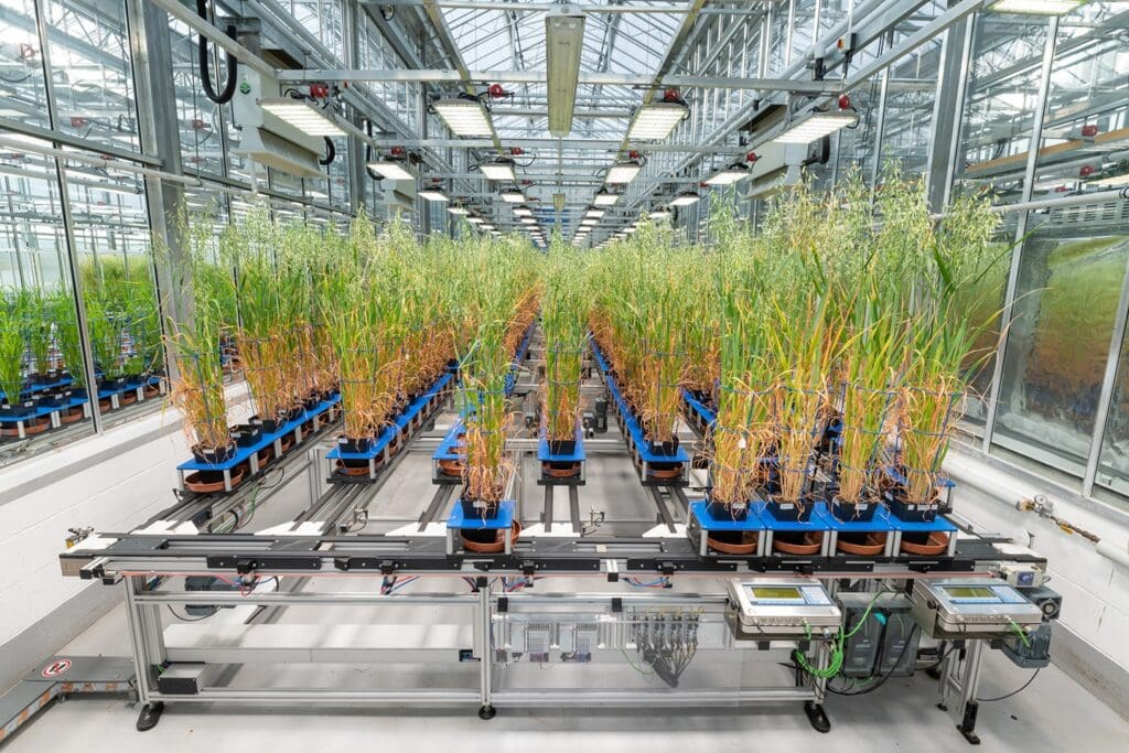 AI and biotech driving the next revolution in resilient crop development