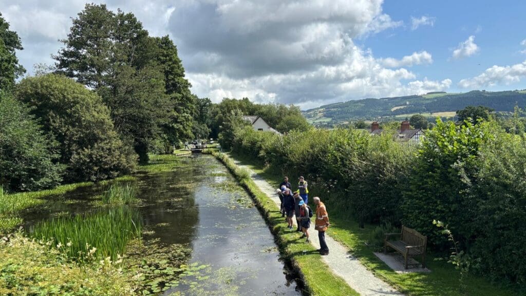 Charity receives grant to improve ecology on the Montgomery Canal