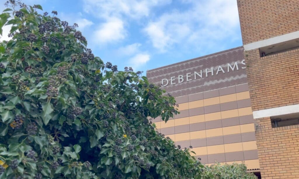 Work begins to help bring Swansea Debenhams unit back into use