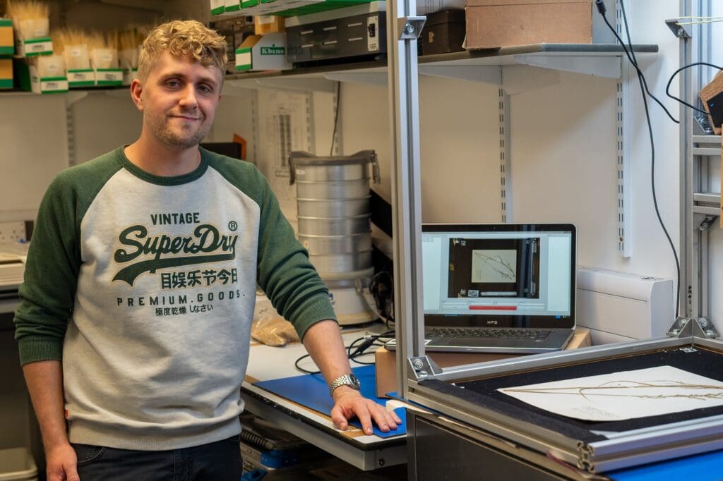 AI tool automates plant fruit measuring to breed better crops