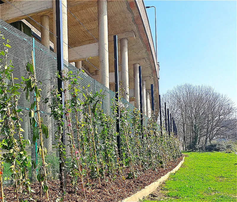 New project to transform Port Talbot’s urban landscape