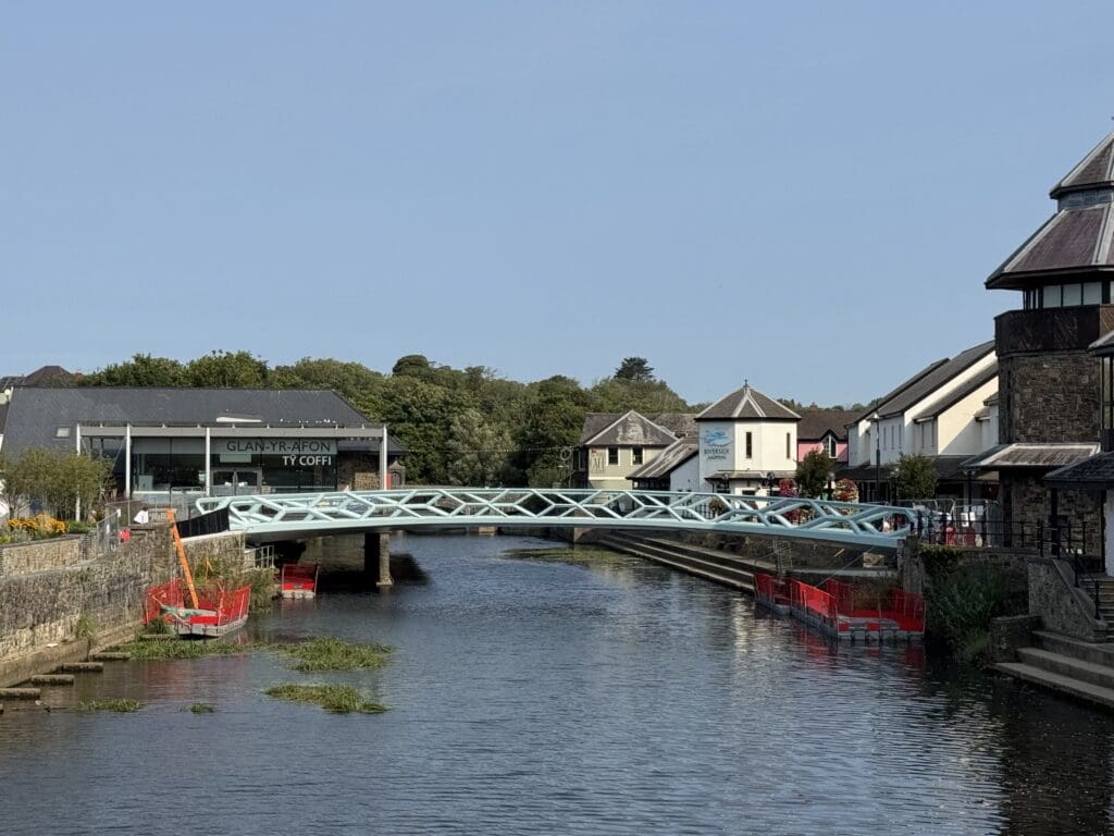 Striking new bridge lifted into place as part of town regeneration project