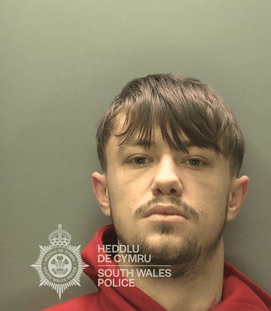 Neath Port Talbot teen sentenced for arson attacks