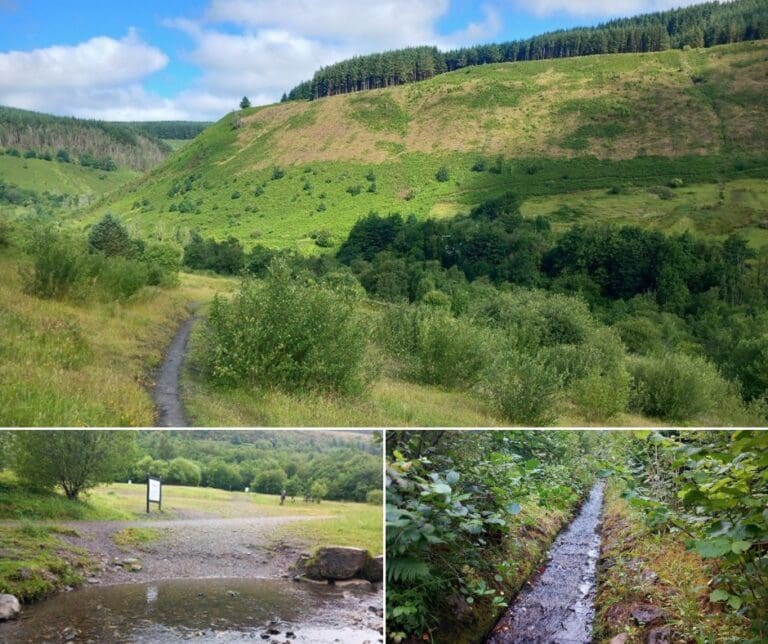 Coal tip safety improvements underway at Clydach Vale Country Park